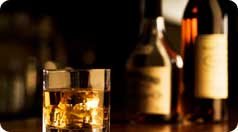 Открытие: Free Bar. Рестораны Москвы