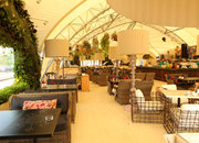 Чайхона № 1