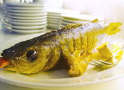 Иберия Хаус   