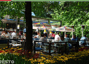 Starlite Diner
