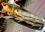 Монте-Кристо