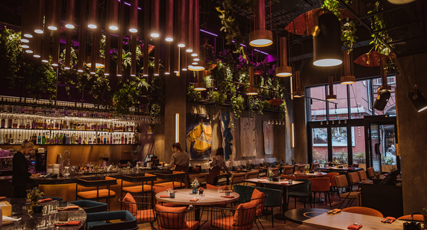 Ресторан Medusa Asian Kitchen Bar