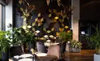 Ресторан Touch Chef’s Place & Bar