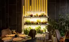 Ресторан Touch Chef’s Place & Bar