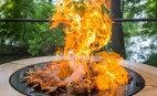 Кейтеринг Molecule Catering