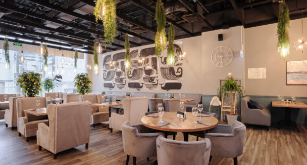 Ресторан MrGaydar