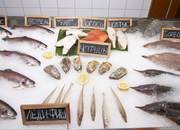 Фиш-Хаус «Филимонова и Янкель»