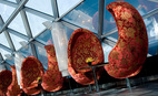 Ресторан O2 Lounge