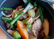 Бурый Лис и Ленивый Пес