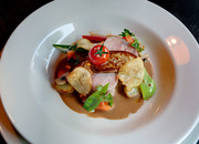 Бурый Лис и Ленивый Пес