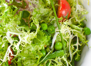 Бурый Лис и Ленивый Пес