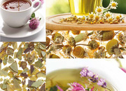 Бариста Бар